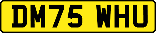 DM75WHU