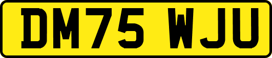 DM75WJU