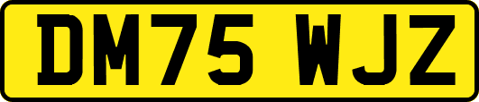 DM75WJZ