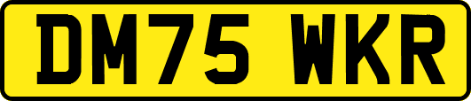 DM75WKR