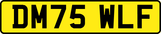 DM75WLF