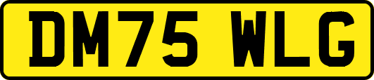 DM75WLG