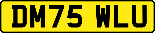 DM75WLU