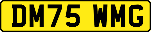 DM75WMG