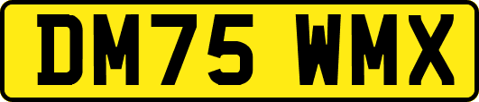 DM75WMX