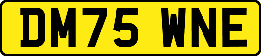 DM75WNE