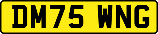 DM75WNG