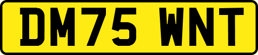 DM75WNT