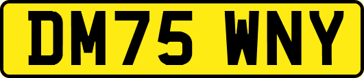 DM75WNY