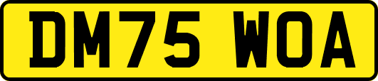 DM75WOA