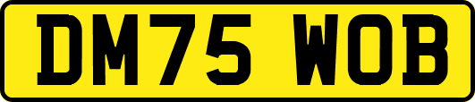 DM75WOB