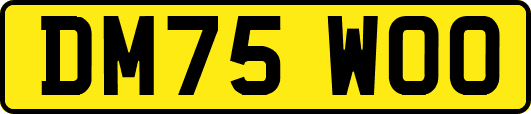DM75WOO