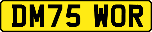 DM75WOR