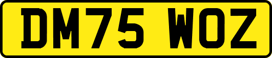 DM75WOZ