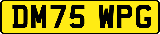 DM75WPG