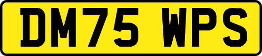 DM75WPS