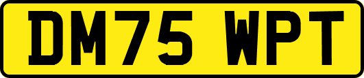 DM75WPT