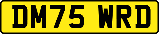 DM75WRD