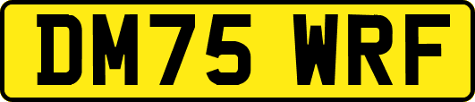 DM75WRF