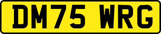 DM75WRG
