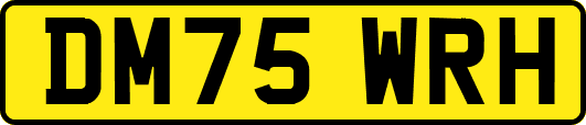 DM75WRH