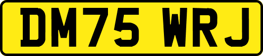 DM75WRJ