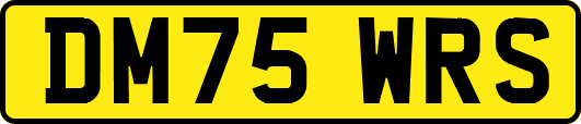 DM75WRS