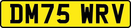 DM75WRV