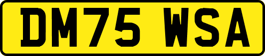 DM75WSA