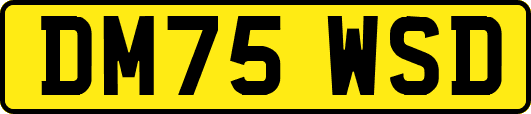 DM75WSD
