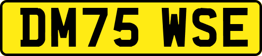 DM75WSE