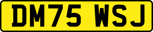 DM75WSJ