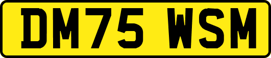 DM75WSM