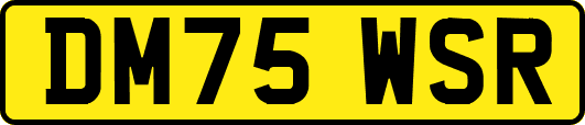 DM75WSR