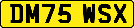 DM75WSX