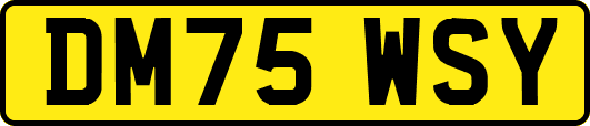 DM75WSY