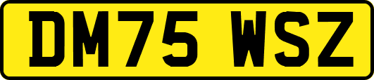 DM75WSZ