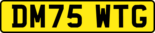 DM75WTG
