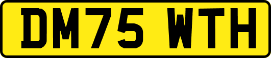 DM75WTH