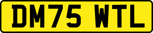 DM75WTL