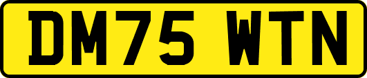 DM75WTN