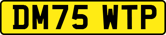 DM75WTP