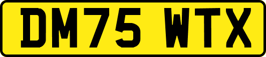 DM75WTX