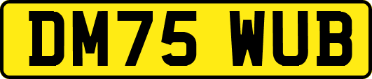 DM75WUB