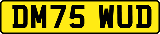 DM75WUD