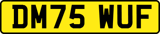 DM75WUF