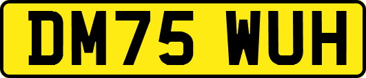 DM75WUH