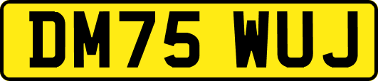 DM75WUJ