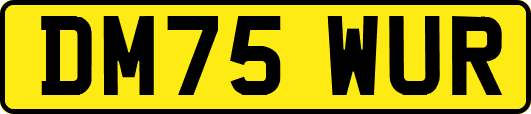 DM75WUR