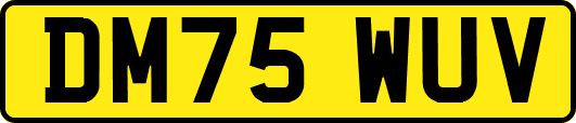 DM75WUV